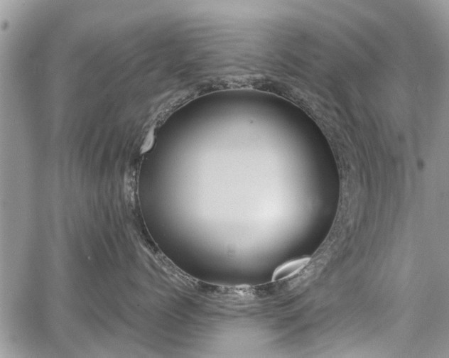 X0000067870768200604171224