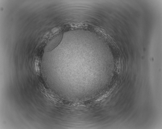 X0000067870770200604171223