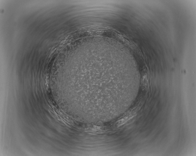 X0000067870772200604171223