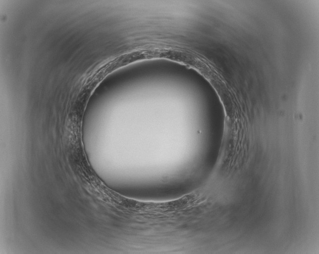 X0000067870773200604171223