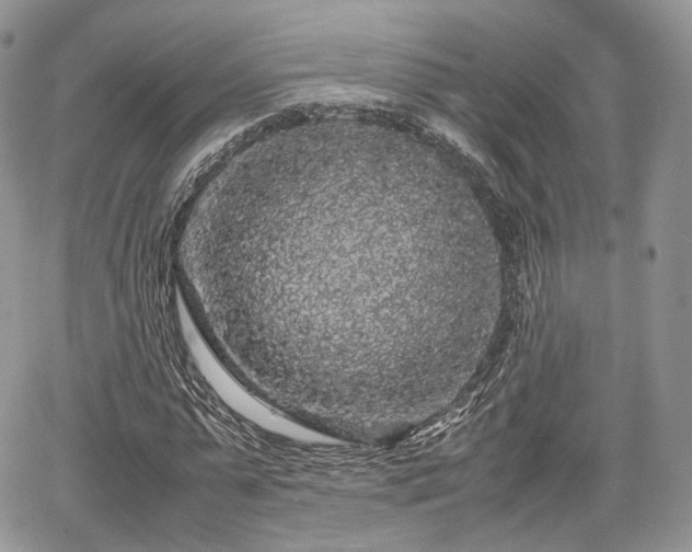 X0000067870775200604171223