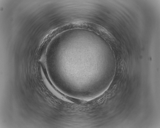 X0000067870776200604171223