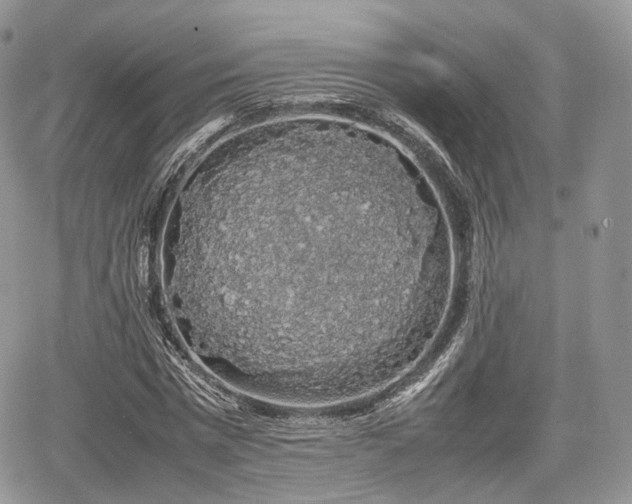 X0000067870777200604171223