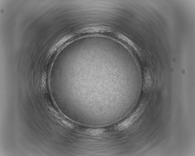 X0000067870778200604171223