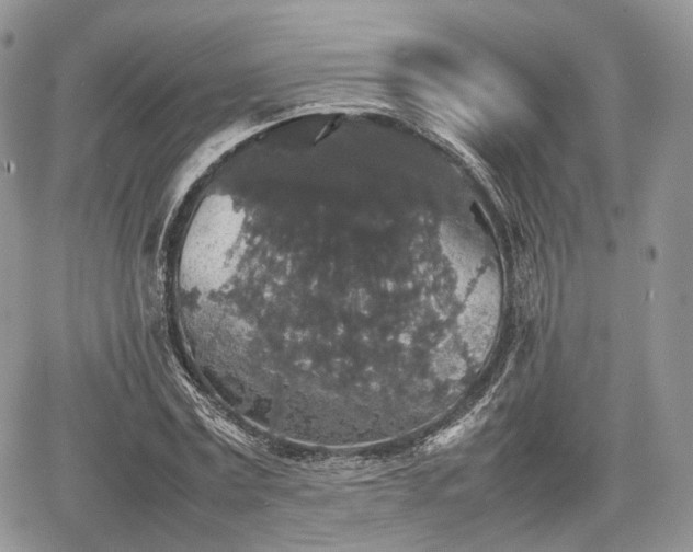 X0000067870779200604171223