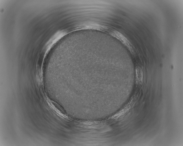 X0000067870780200604171223