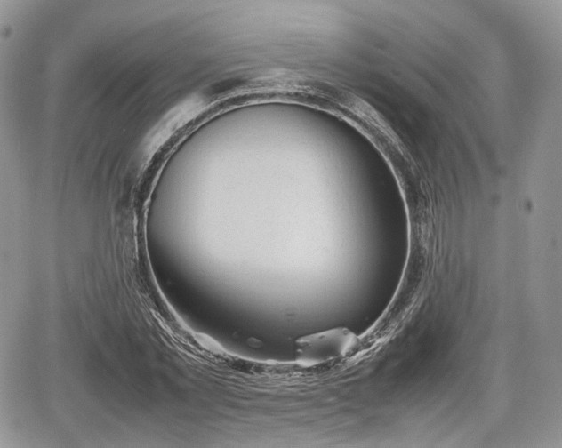 X0000067870781200604171223