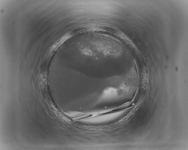 X0000067870785200604171223