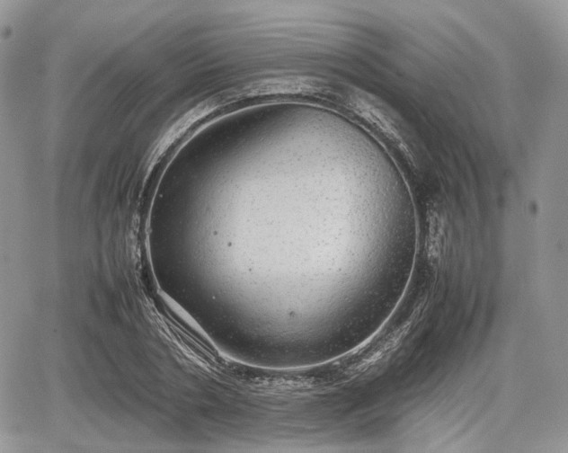 X0000067870786200604171223