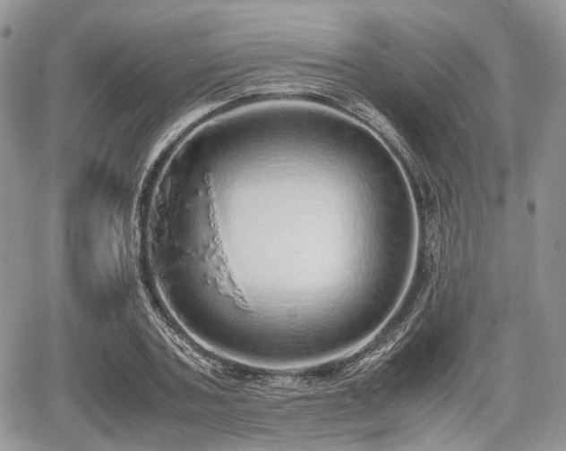 X0000067870787200604171223