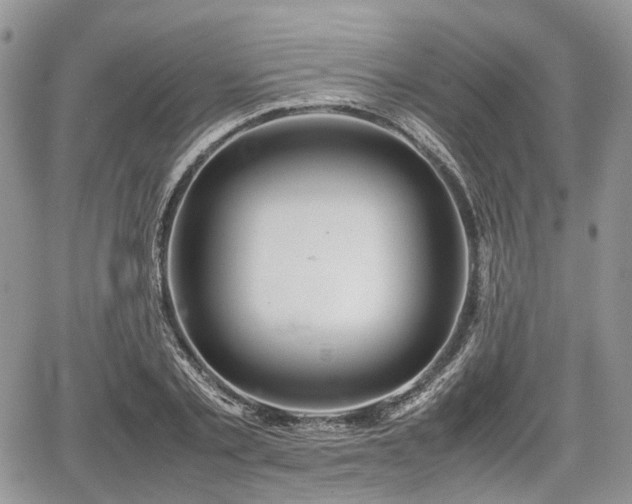 X0000067870789200604171223