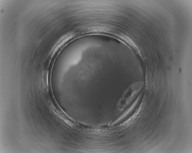 X0000067870790200604171223