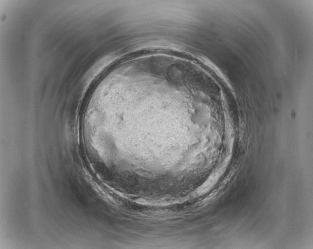 X0000067870791200604171223