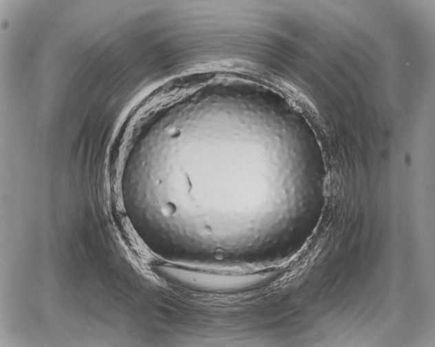 X0000067870792200604171223