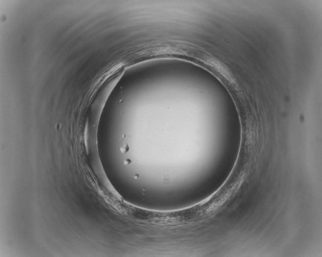 X0000067870793200604171223