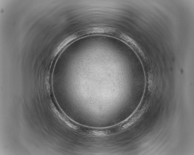 X0000067870794200604171223