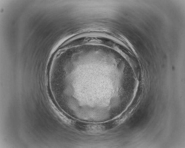 X0000067870795200604171223