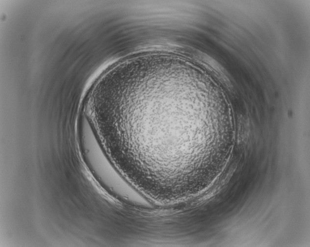 X0000067870796200604171223