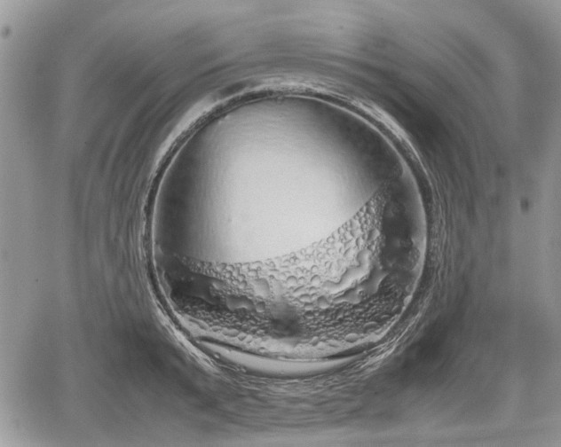 X0000067870799200604171223