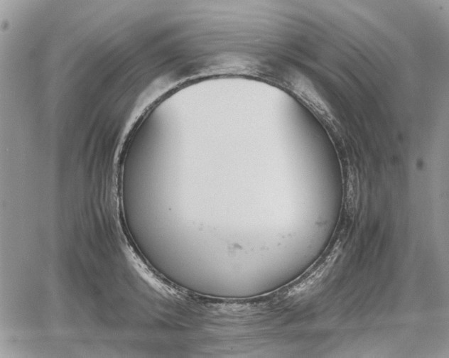 X0000067870800200604171223