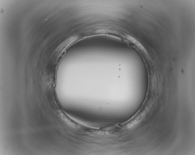 X0000067870801200604171223