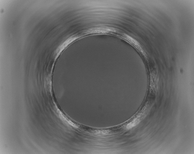 X0000067870802200604171223