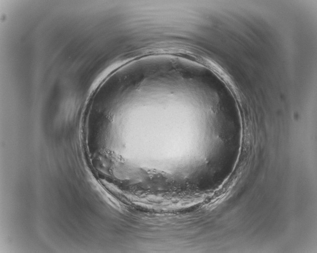 X0000067870803200604171223