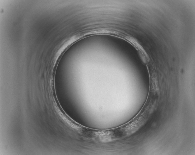 X0000067870805200604171223