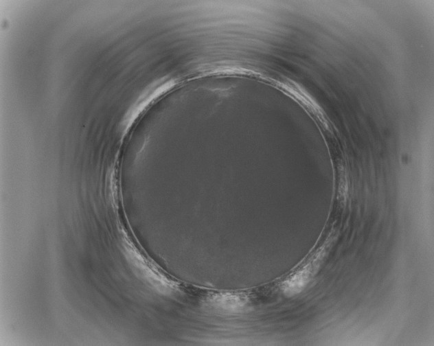 X0000067870806200604171223