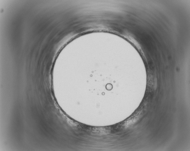 X0000067870807200604171223