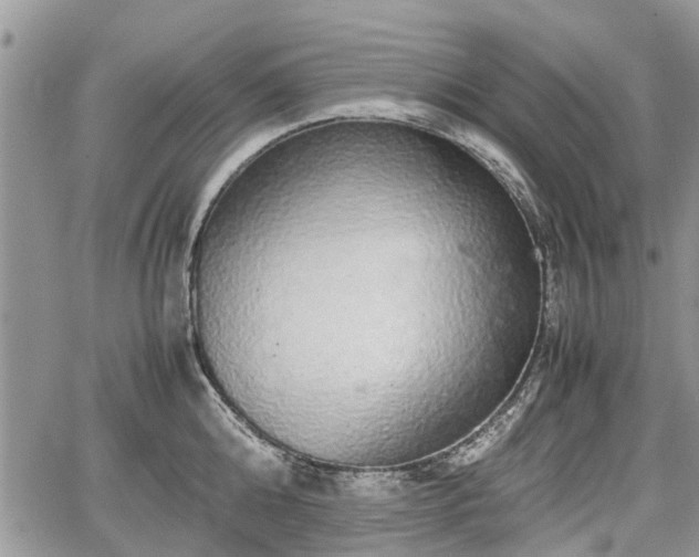 X0000067870808200604171223