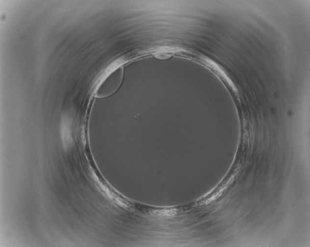 X0000067870810200604171222