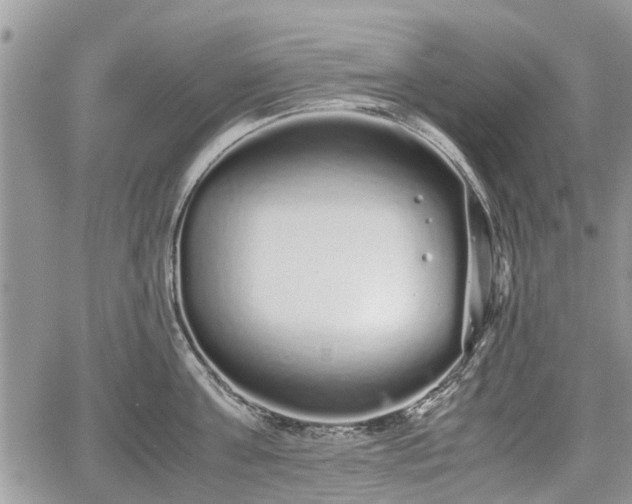 X0000067870811200604171222