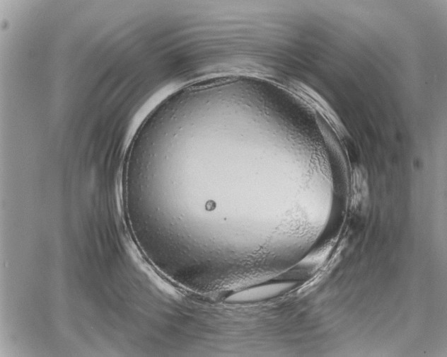 X0000067870812200604171222