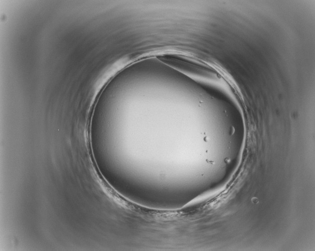 X0000067870813200604171222