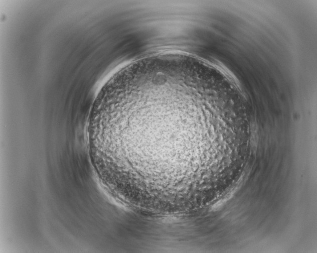 X0000067870814200604171222