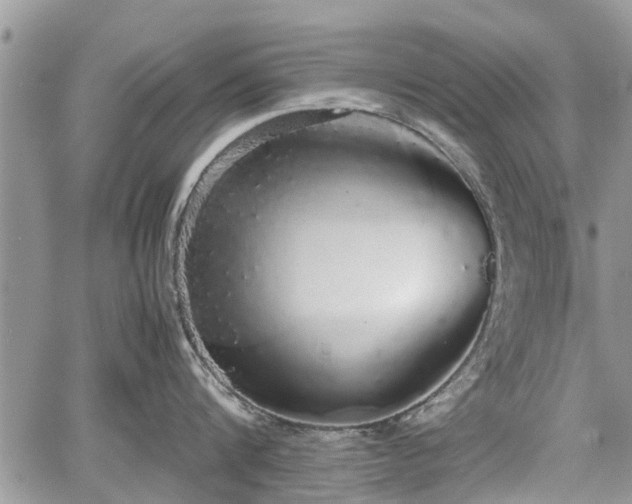 X0000067870816200604171222