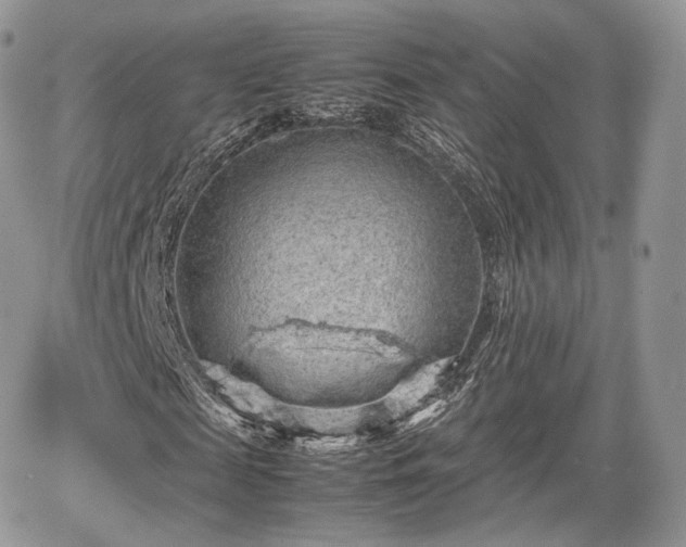 X0000067870817200604171222