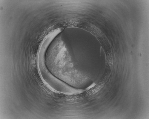 X0000067870818200604171222