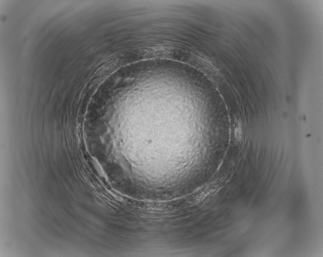 X0000067870819200604171222