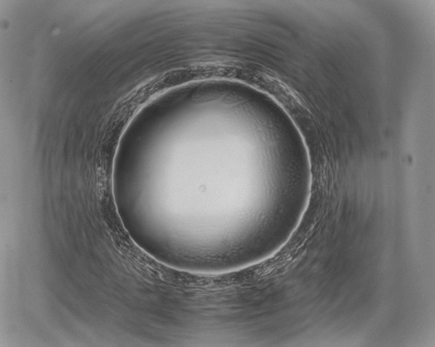 X0000067870821200604171222