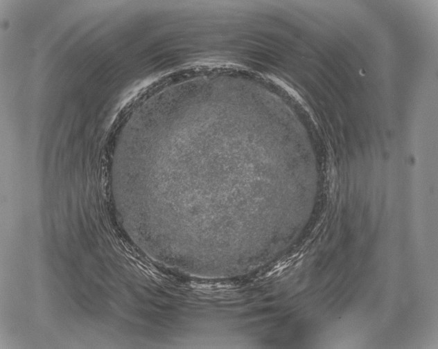 X0000067870823200604171222