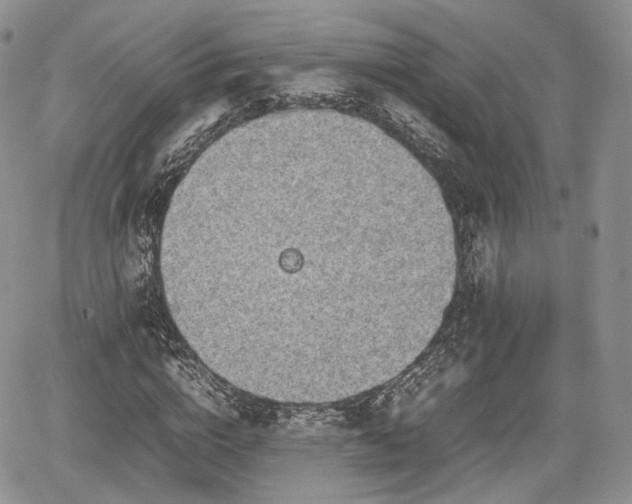 X0000067870824200604171222