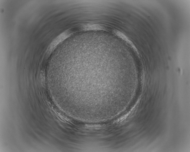 X0000067870825200604171222