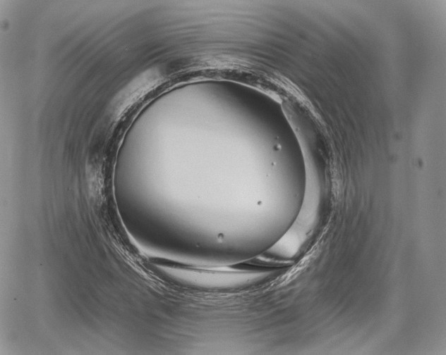 X0000067870826200604171222