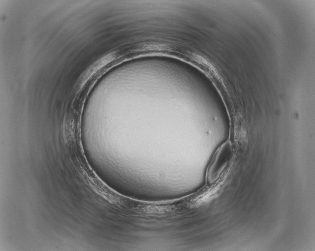 X0000067870827200604171222