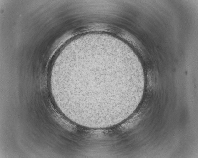 X0000067870828200604171222