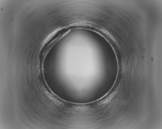 X0000067870830200604171222