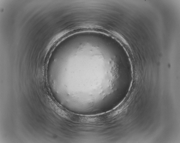 X0000067870831200604171222