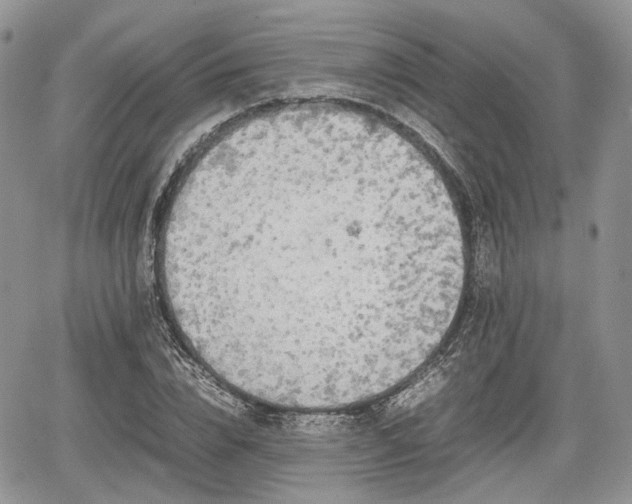 X0000067870832200604171222